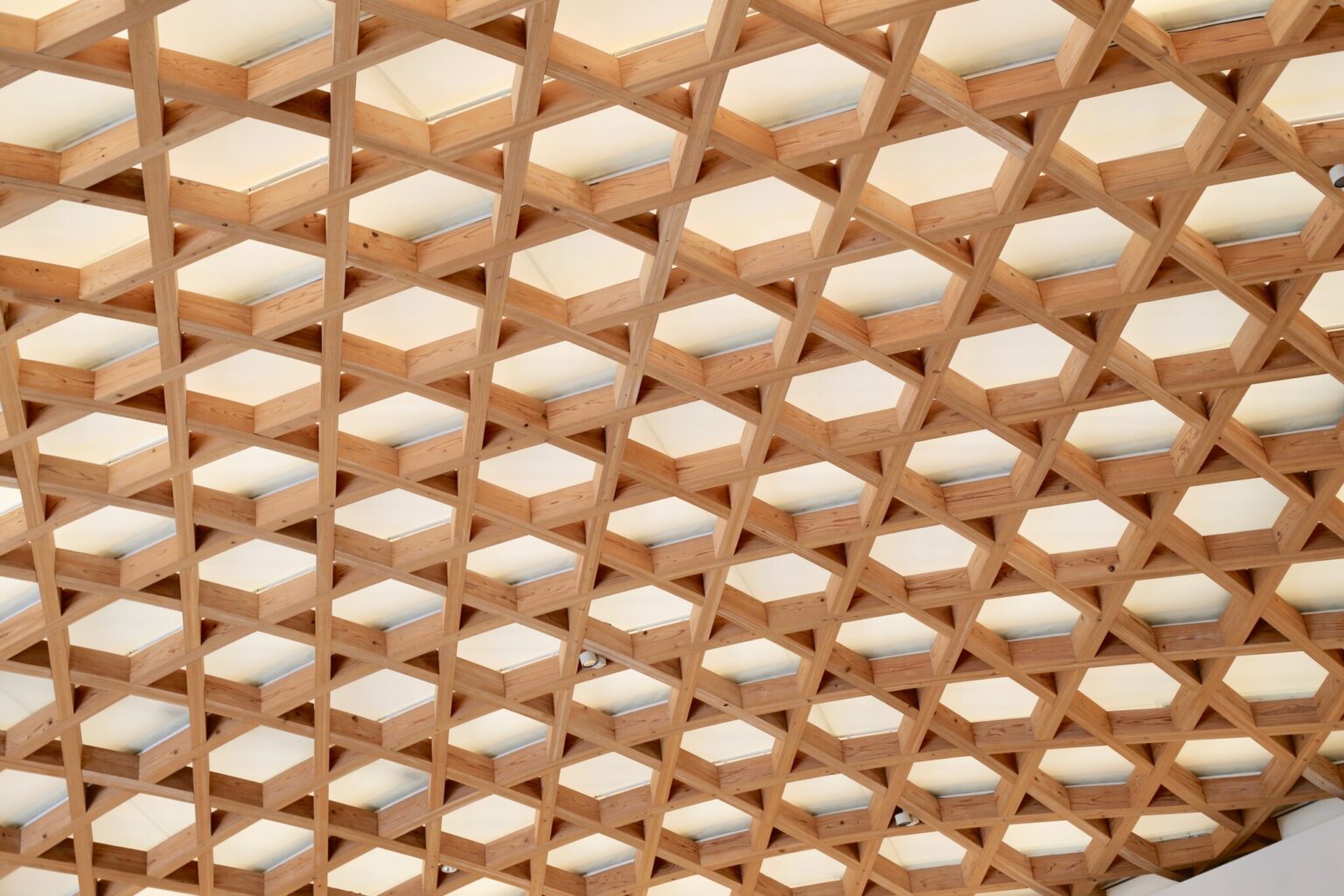 「天庭」の天井部分は、大分の伝統工芸、竹細工の六つ編みをイメージしたもの。