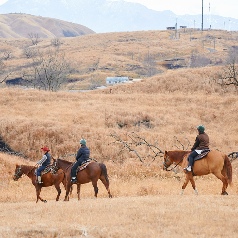 乗馬に、グルメに盛りだくさん！大自然を満喫する、熊本県・阿蘇の旅