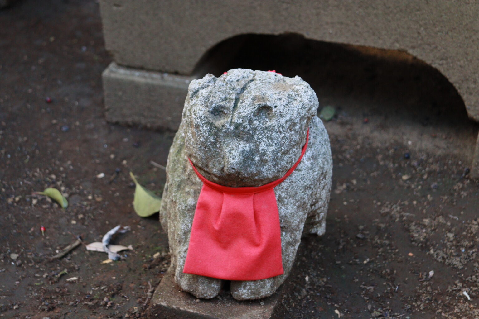 境内の稲荷神社に佇む名物の狛犬。味わい深い表情。