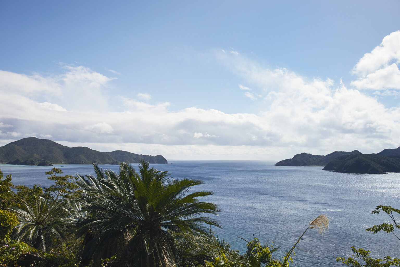 もうひとつの展望台から見えるのは、深いブルーを湛えた大島海峡と加計呂麻島。