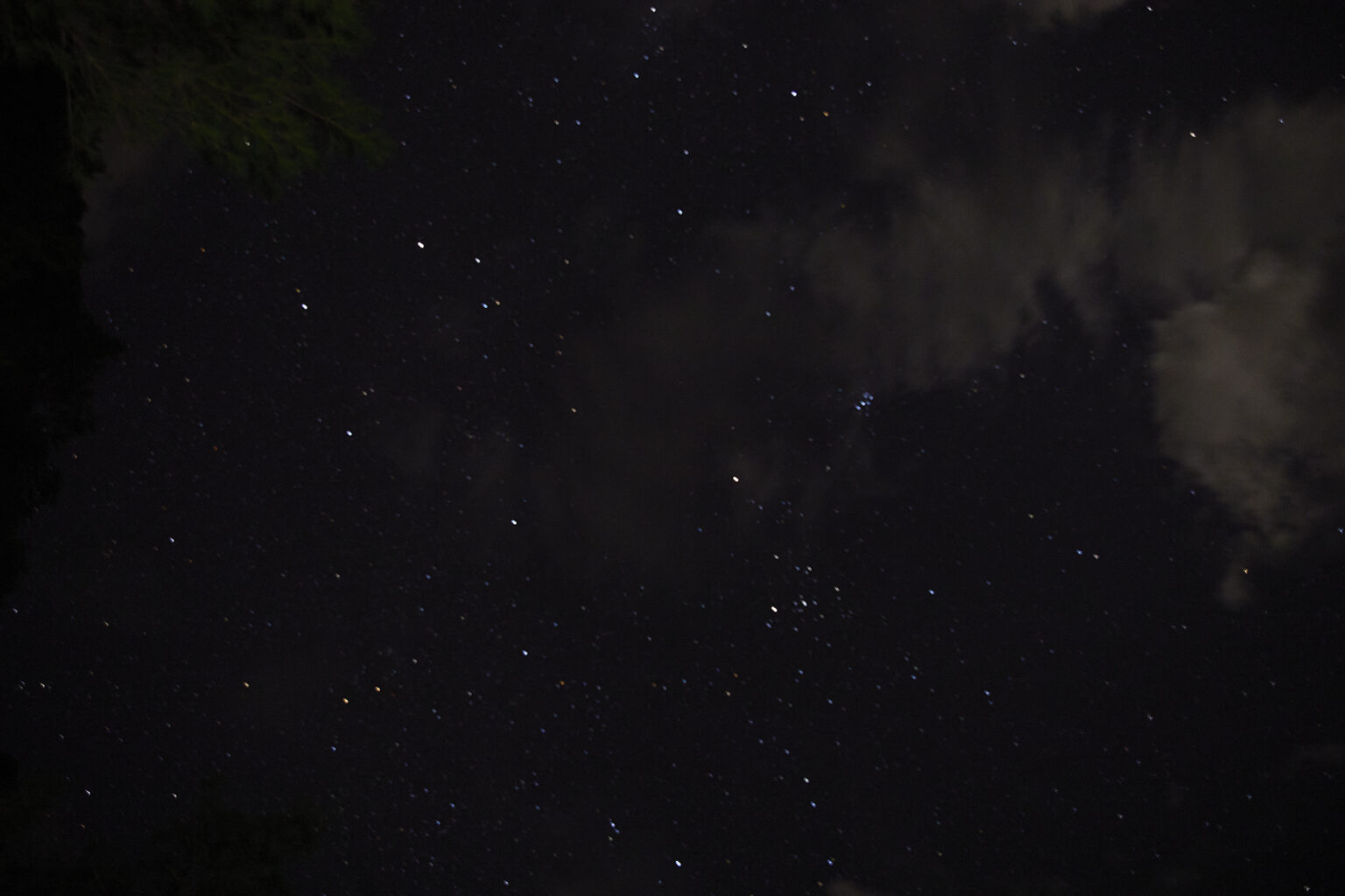奄美大島は空気が澄んで星空観察にも最適。