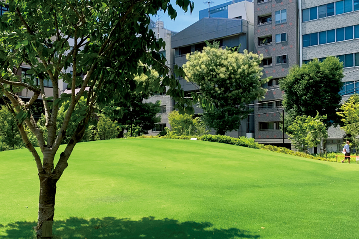 日本初の市街地小公園がリニューアル。
明治22年、日本人の公園デザイナーの先駆者・長岡安平が手掛けた日本で最初の市街地小公園。2021年9月に3度目のリニューアルがなされ、小高い丘を囲むように芝生広場が。「睡蓮の池」や小川、遊具なども整備され、市民の憩いの場に。