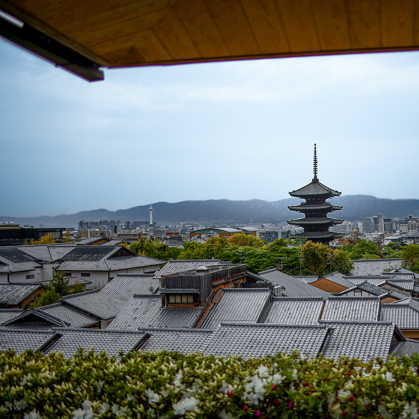 ホテルからは京都らしい眺望も楽しめる。
