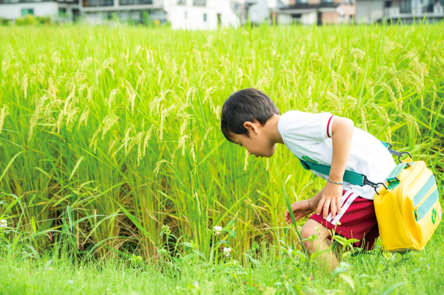 新潟県南魚沼市の認定こども園〈金城幼稚園・保育園〉での様子。