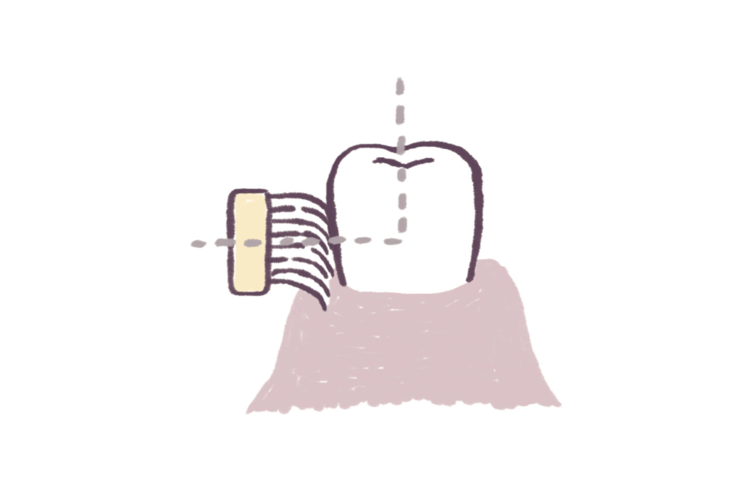 3.歯間を綺麗に「スクラッビング法」。歯に歯ブラシを直角に当て、毛先が歯と歯の間に入るように小刻みに磨く。歯周ポケットの掃除には向かないため、バス法や歯間ブラシなどと併用を。