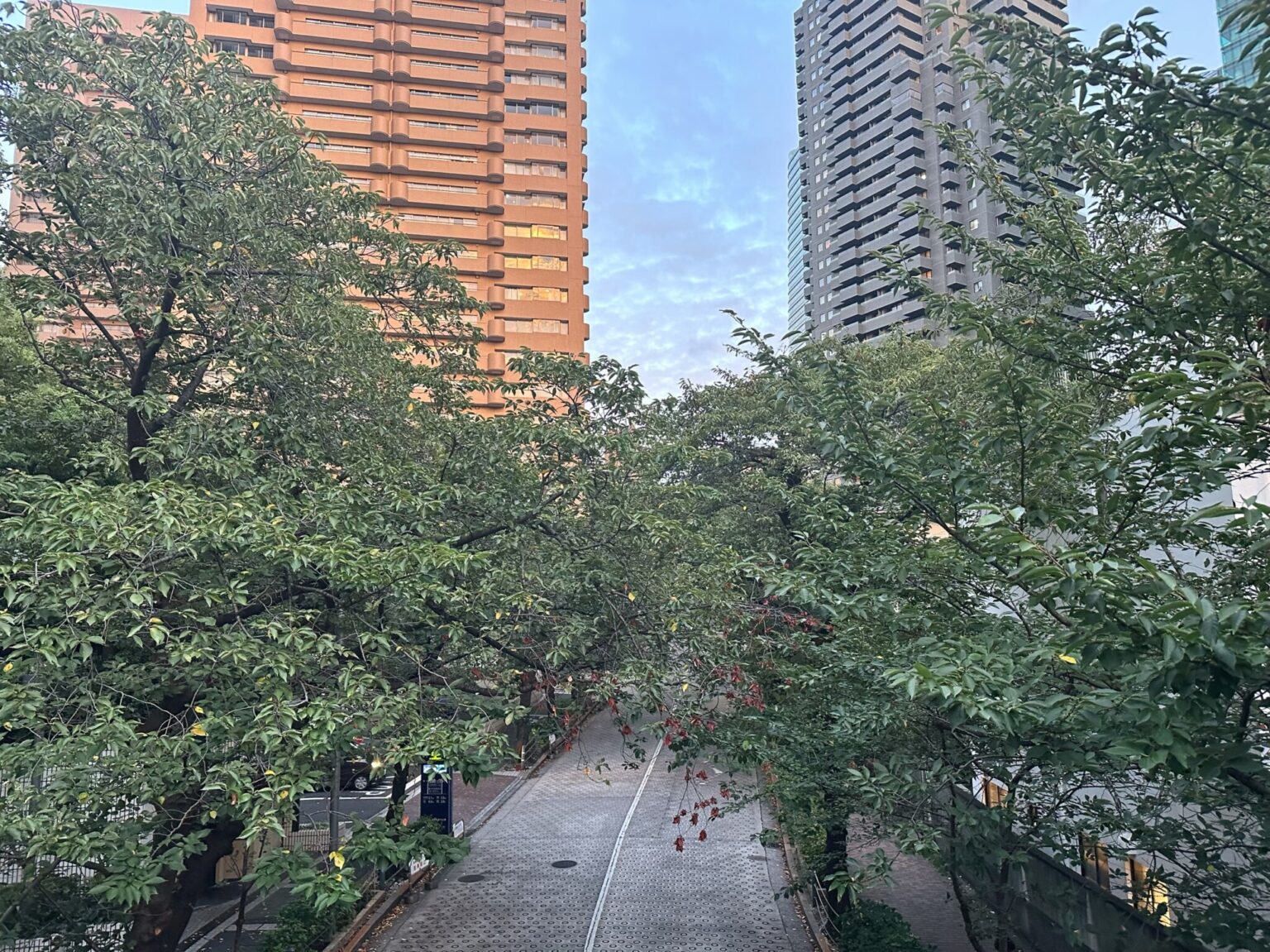 高層ビルの間にグリーンがいっぱいなのは六本木一丁目の特徴的な風景。