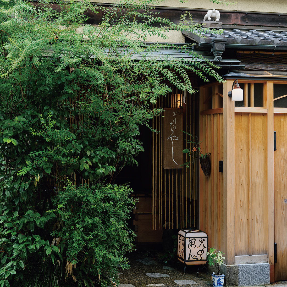 緑に覆われた風情ある仕舞た屋。店は隠れるようにひっそりある。小さな行灯と目立たぬ看板が目印。水を打った石畳を渡って玄関へ。いよいよ日本料理の極みを味わう。
