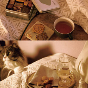 Hanako クッキー缶「Boîte à bijoux chat “ねこの宝石箱”」