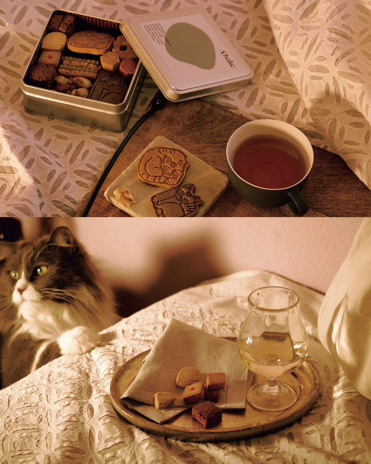Hanako クッキー缶「Boîte à bijoux chat “ねこの宝石箱”」