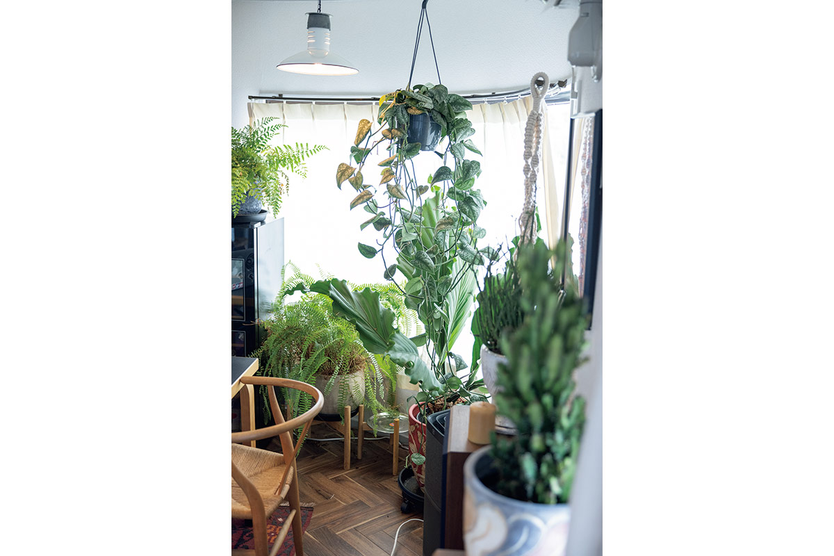 1.お気に入りのアール形の窓。日当たり抜群、温室効果で植物がぐんぐん育つ。