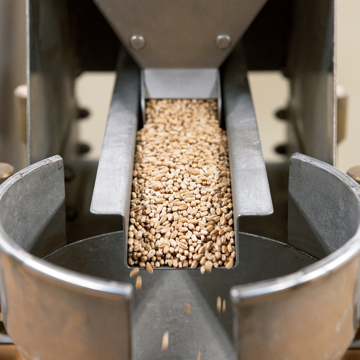 〈前田食品〉ではベーカリーや飲食店の注文が入ってから製粉。麦に含まれるタンパク質は熱に弱いため、低速の石臼でゆっくり挽いた小麦粉をその都度出荷する。
