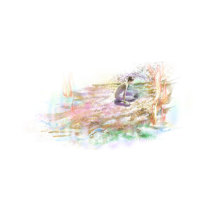[算命学] のイメージイラスト