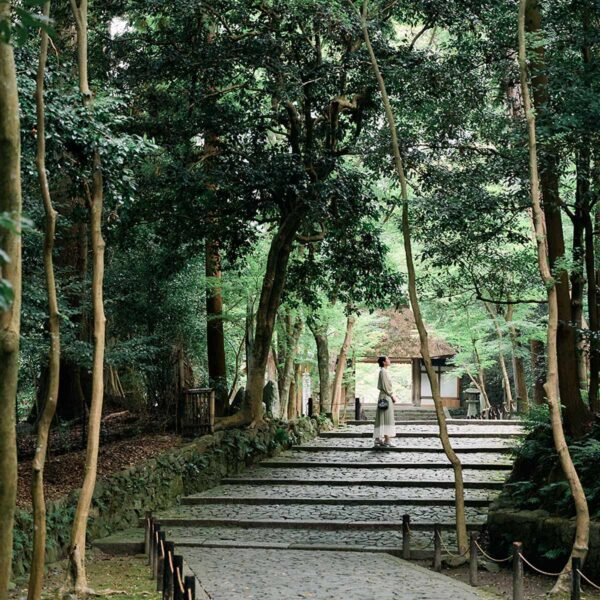 寺社につき喫茶 京都 法然院