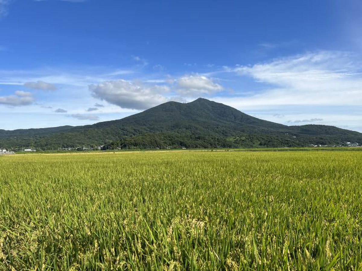 標高は女体山877m、男体山871m。日本百名山のひとつで「紫峰」の雅号でも呼ばれる。