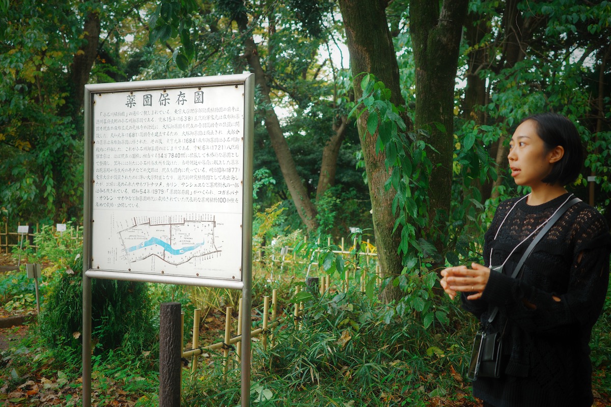 小石川植物園 薬園保存園