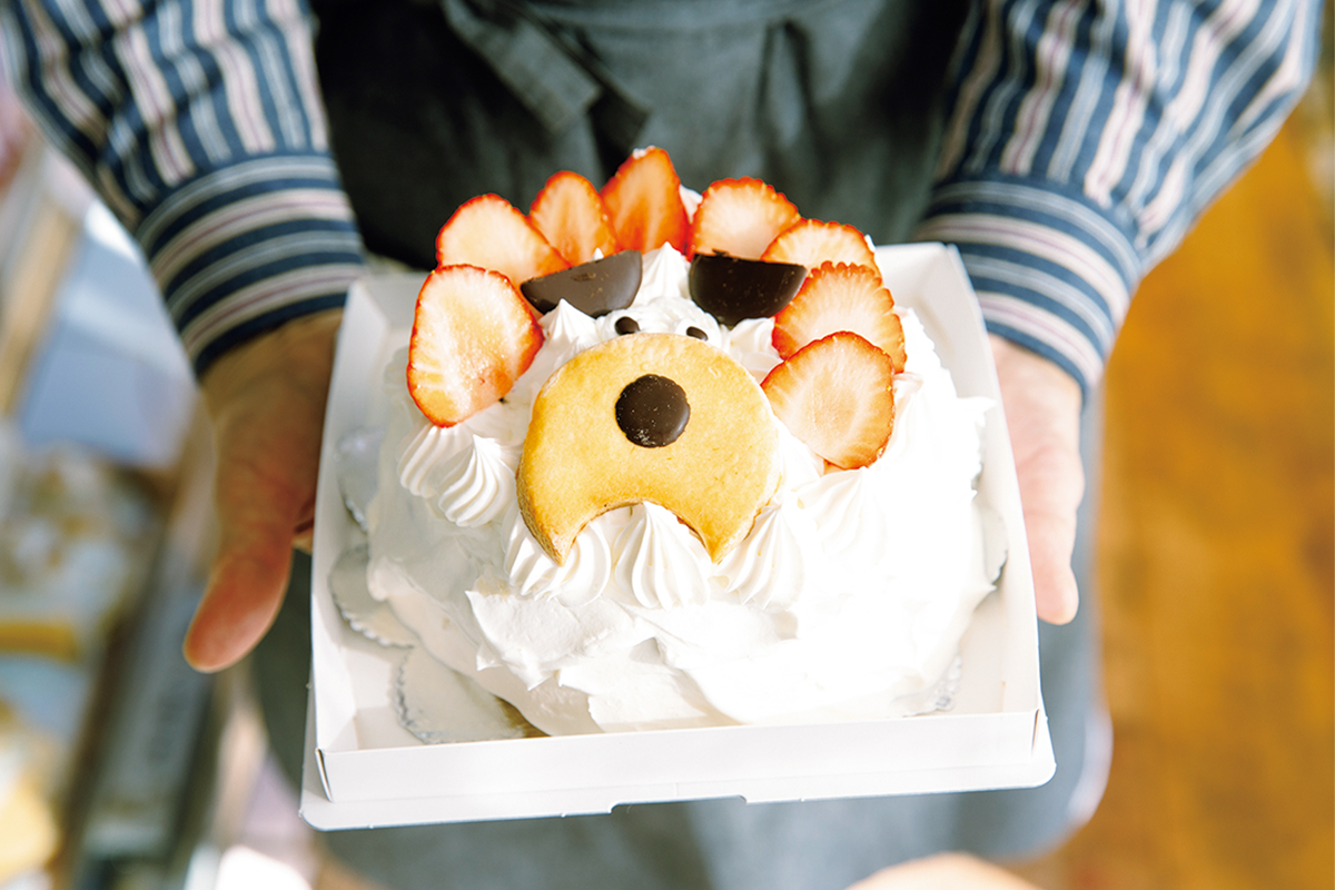 町に寄り添う洋菓子屋さん。人生のお祝い事や普段のおやつ時間に定番の洋菓子を。〈パリジェンヌ洋菓子店〉の「ポチ」は誰もが親しみを感じてしまう犬の顔をデコレーションしたショートケーキ。