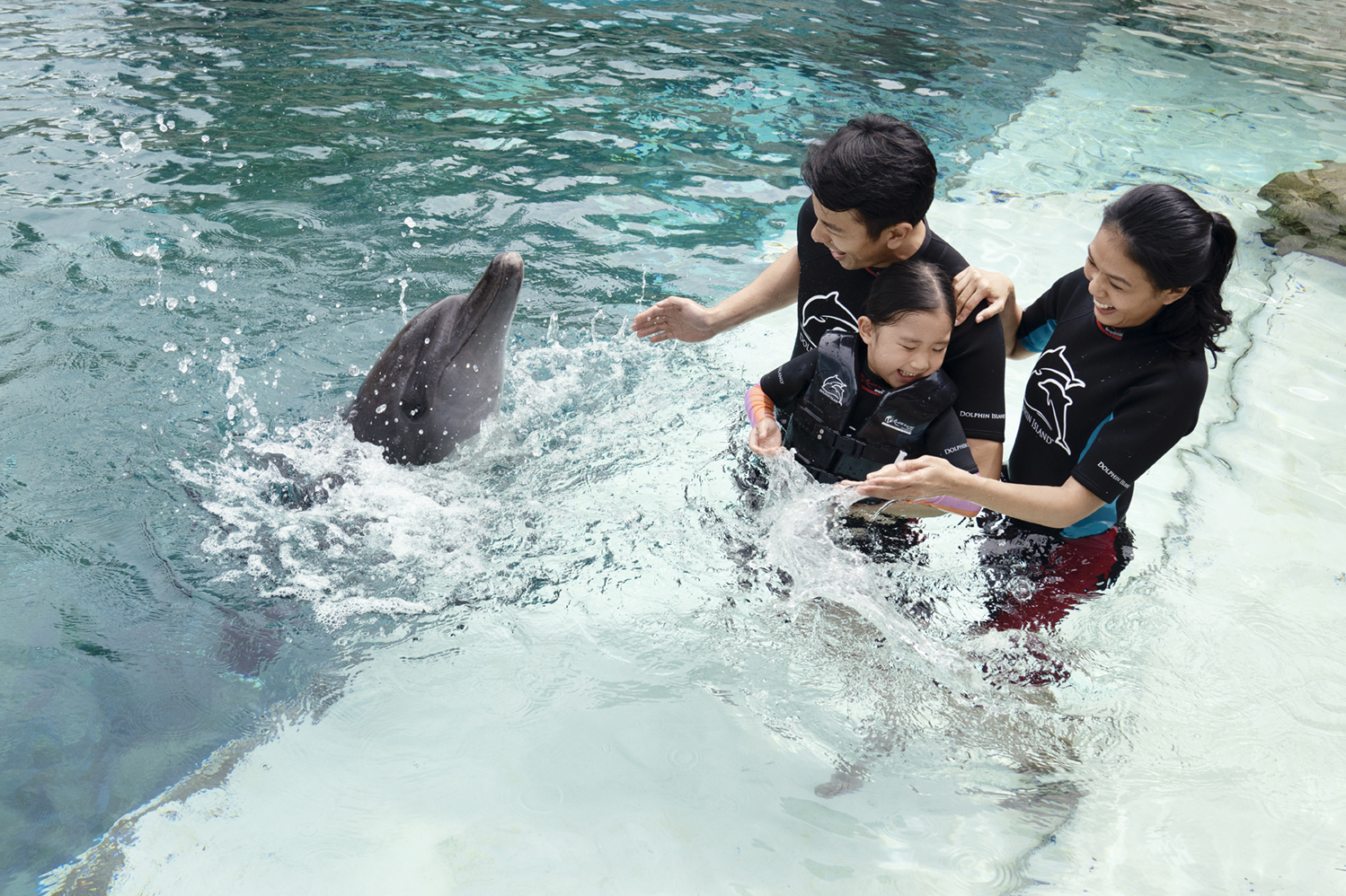 泳げる人も、泳げない人も一緒に楽しめるアクティビティ。可愛いイルカに癒されよう。出典：Resorts World Sentosa