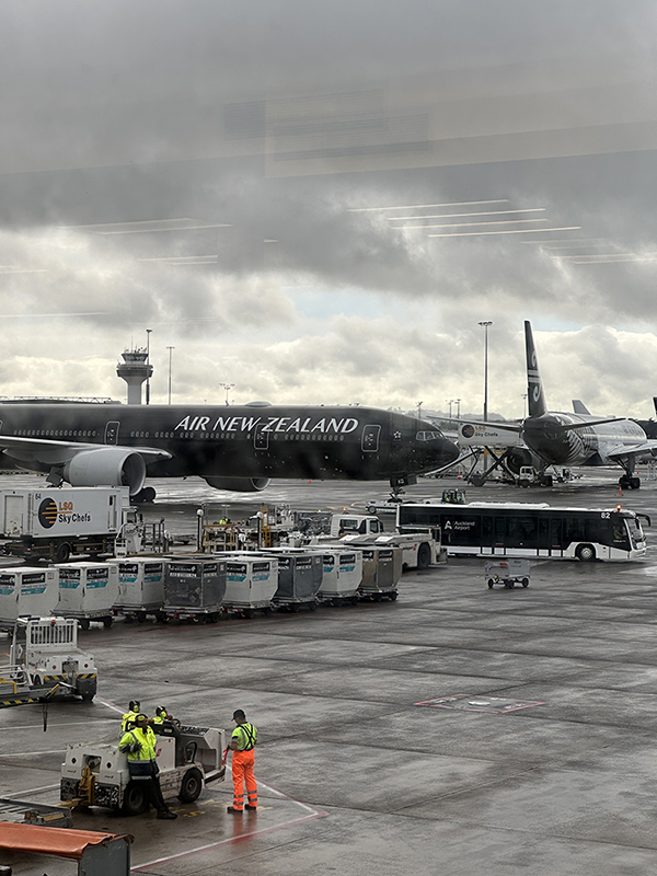 オールブラックのニュージーランド航空の航空機。カッコいい。基本は白がベースカラーなので、この機体を見ることができたのは、ラッキー。
