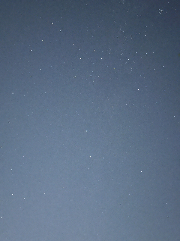 空には星がいっぱい。都会であるオークランドで見ても、こんな星空を見ることができる。