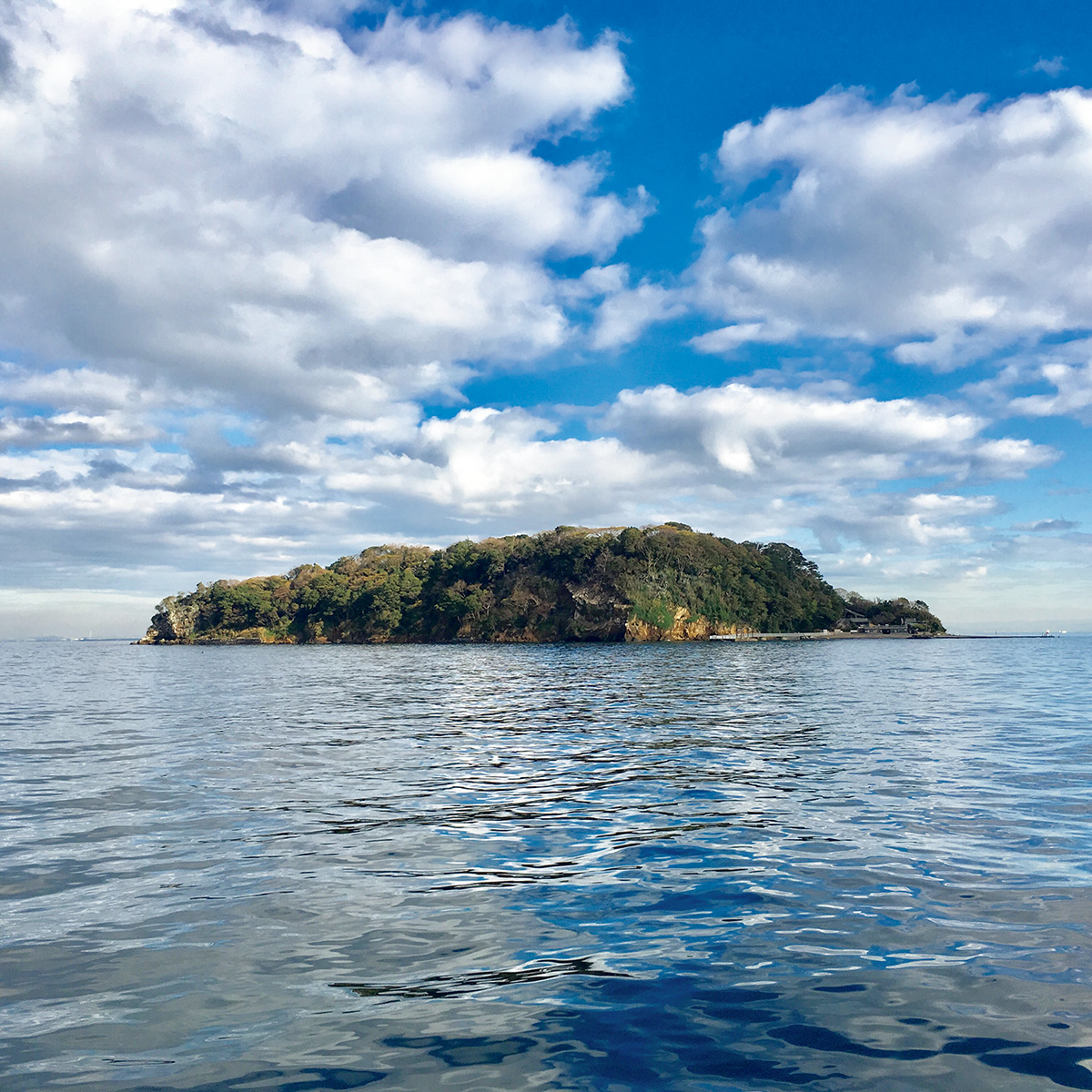 横須賀新港の沖合い1.7㎞の場所にある猿島。島全体が国の史跡に指定されている。写真提供：横須賀市