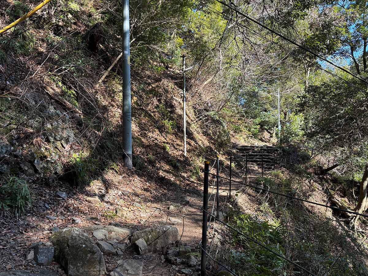 山の魔力と白着物のひと」――丹沢大山で初心者トレッキングに挑戦| 児玉