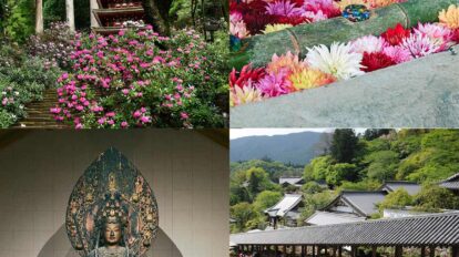 五感を揺さぶる奈良への旅。大和四寺巡礼へ。