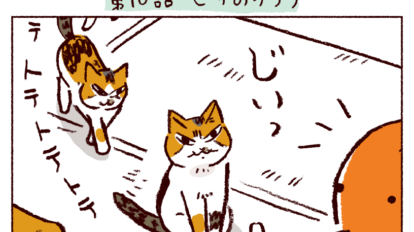 【猫マンガ】第10話「ヒザのりうり」｜スケラッコ「わたしうりひめよ」