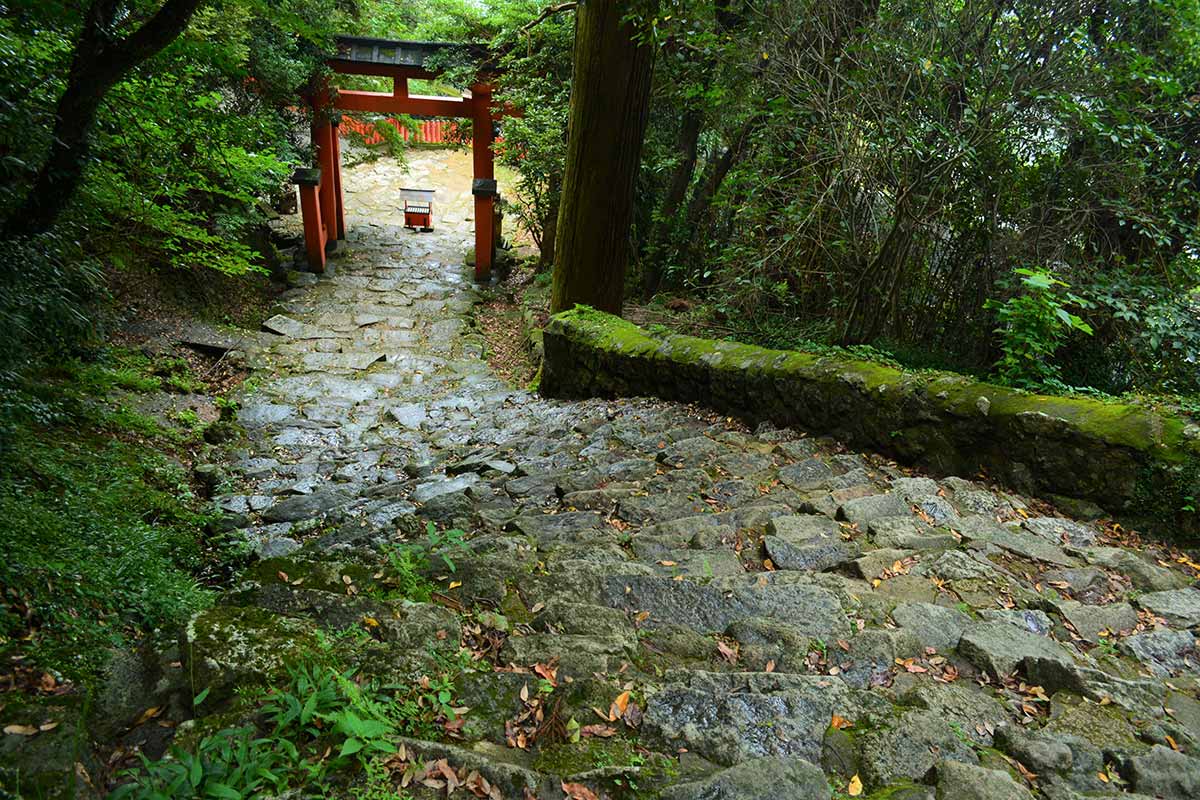 自然石を積み重ねた石段 写真提供 和歌山県観光連盟