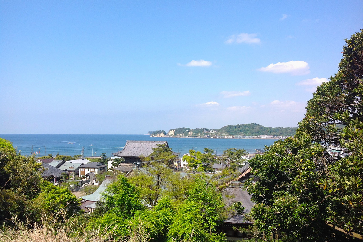 光明寺裏山からの眺め　photo_Takashi Maki