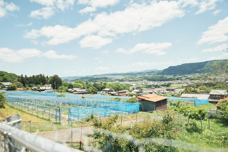 カフェidecaから見える景色