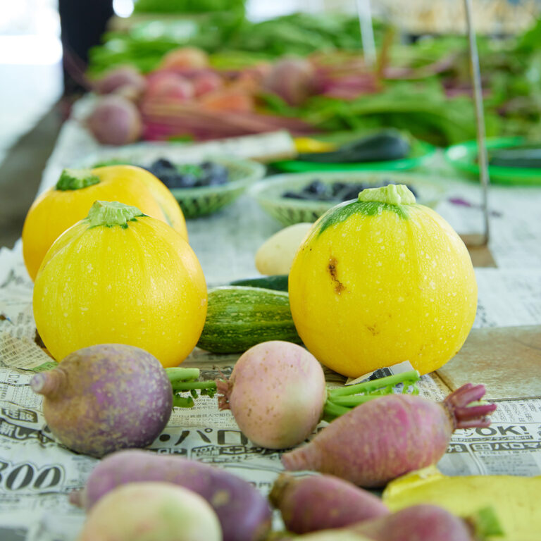 鎌倉市農協連即売所の野菜