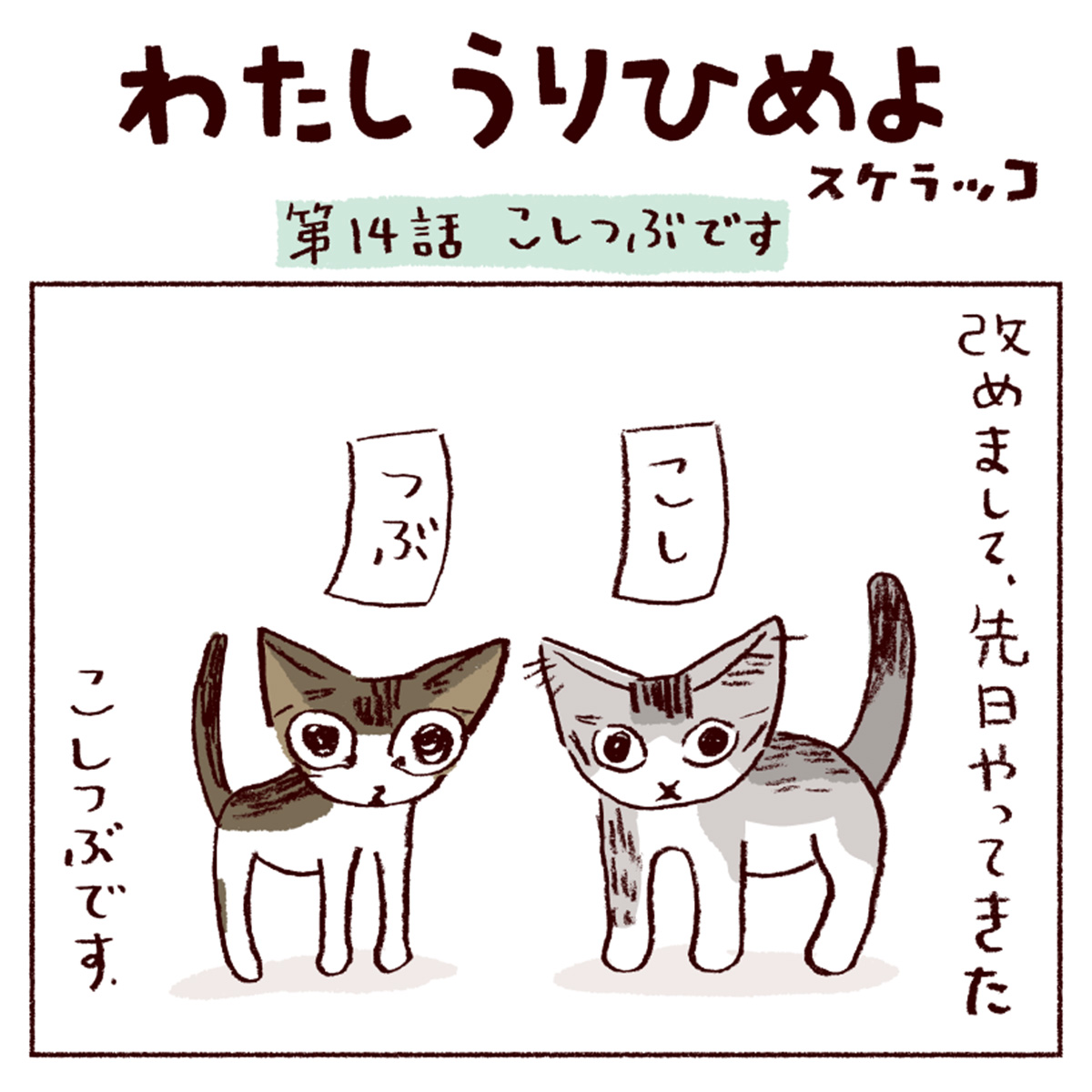 猫マンガ】第14話「こしつぶです」｜スケラッコ「わたしうりひめよ 