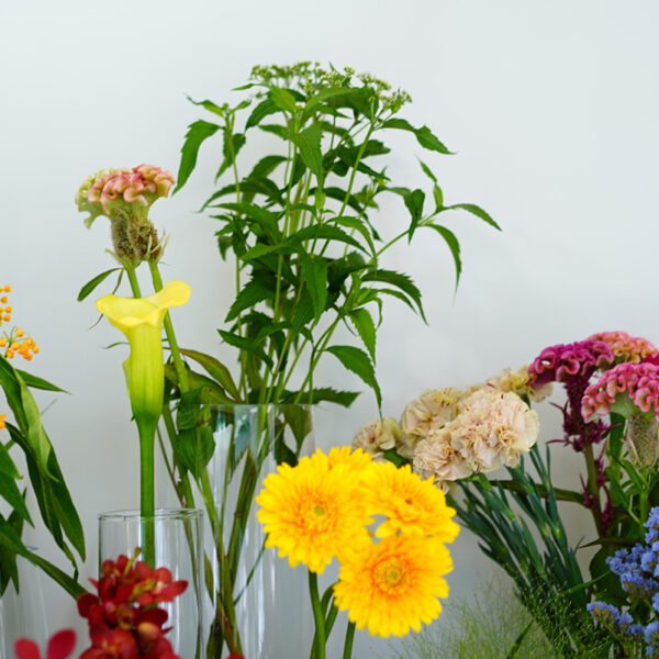 鎌倉 花屋 CHIC FLOWER STAND