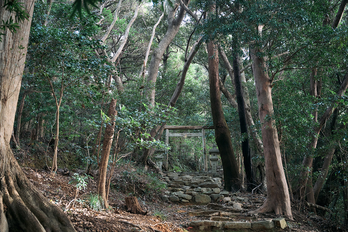 自然セラピーも兼ねた縁結びの神社「伊射波神社」へ向かう道中。