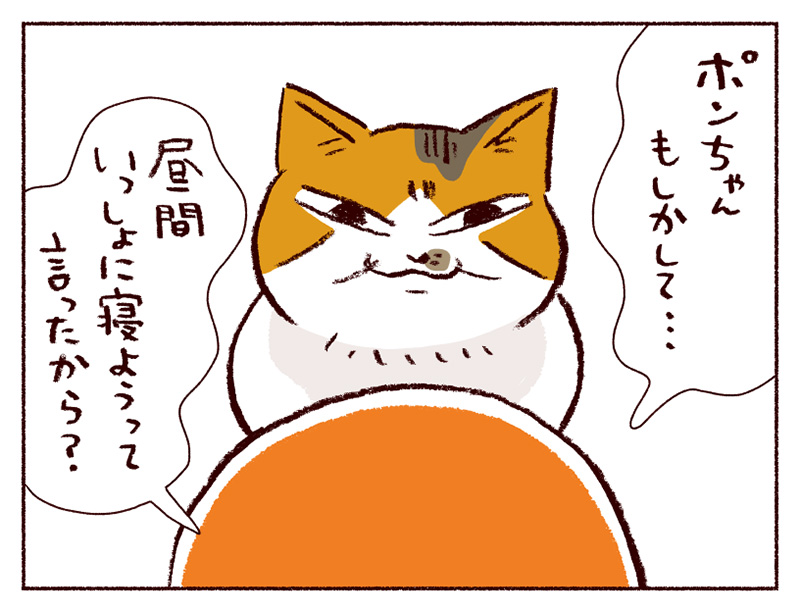 【猫マンガ】第１9話「いしそつう」｜スケラッコ「わたしうりひめよ」