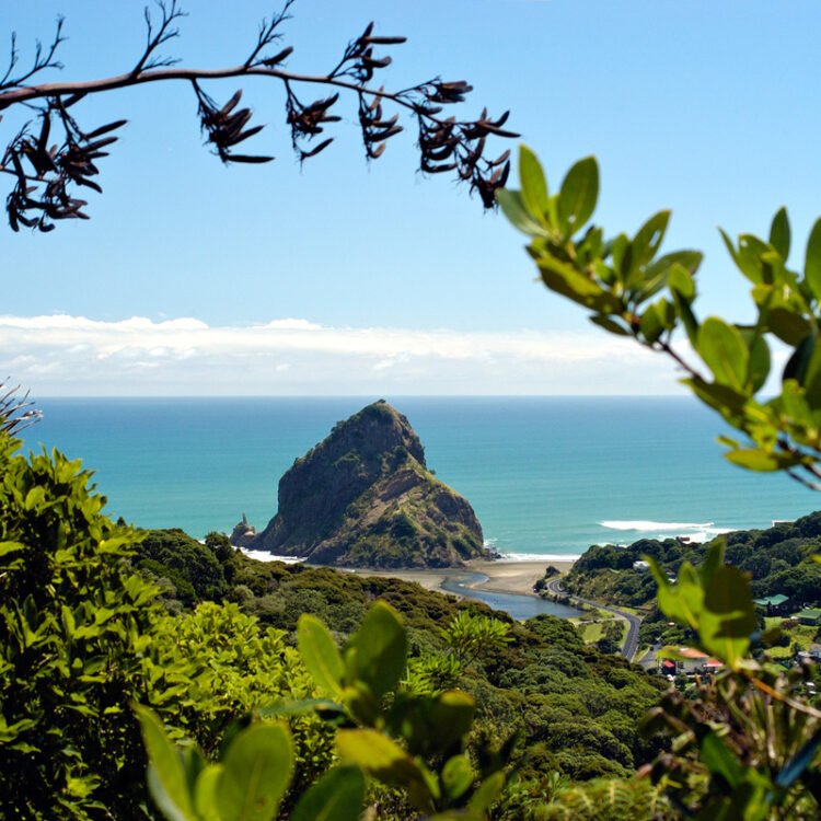 229763-piha-beach-auckland