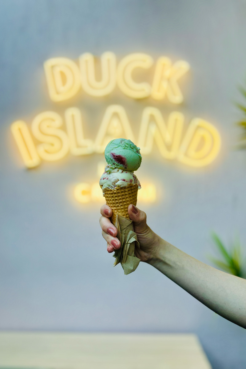 ニュージーランドのDuck Island Ice Cream（ダックアイランドアイスクリーム）