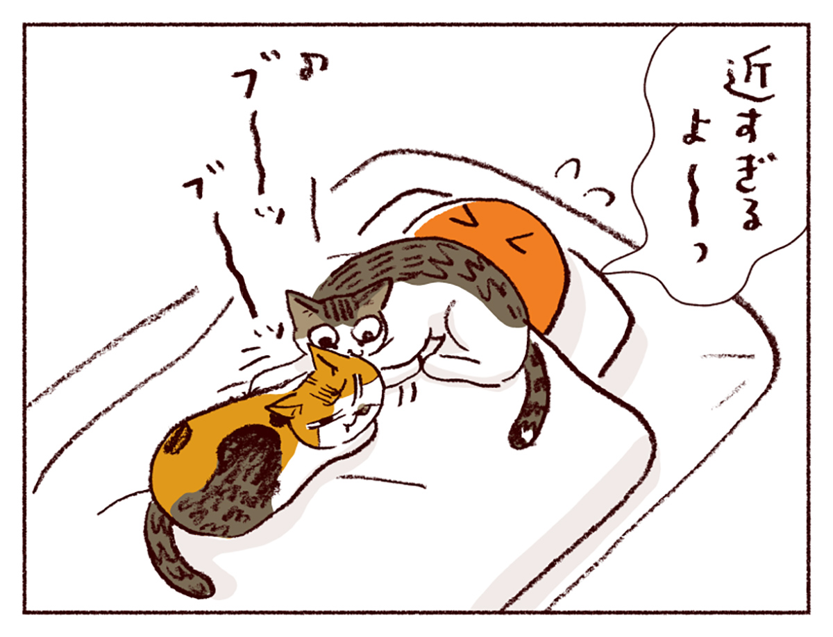 わたしうりひめよ スケラッコ 22話