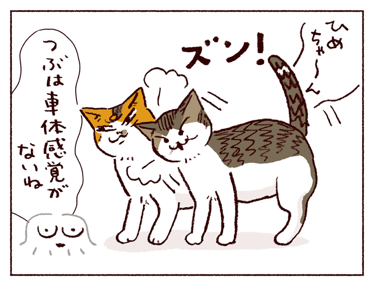 わたしうりひめよ スケラッコ 22話
