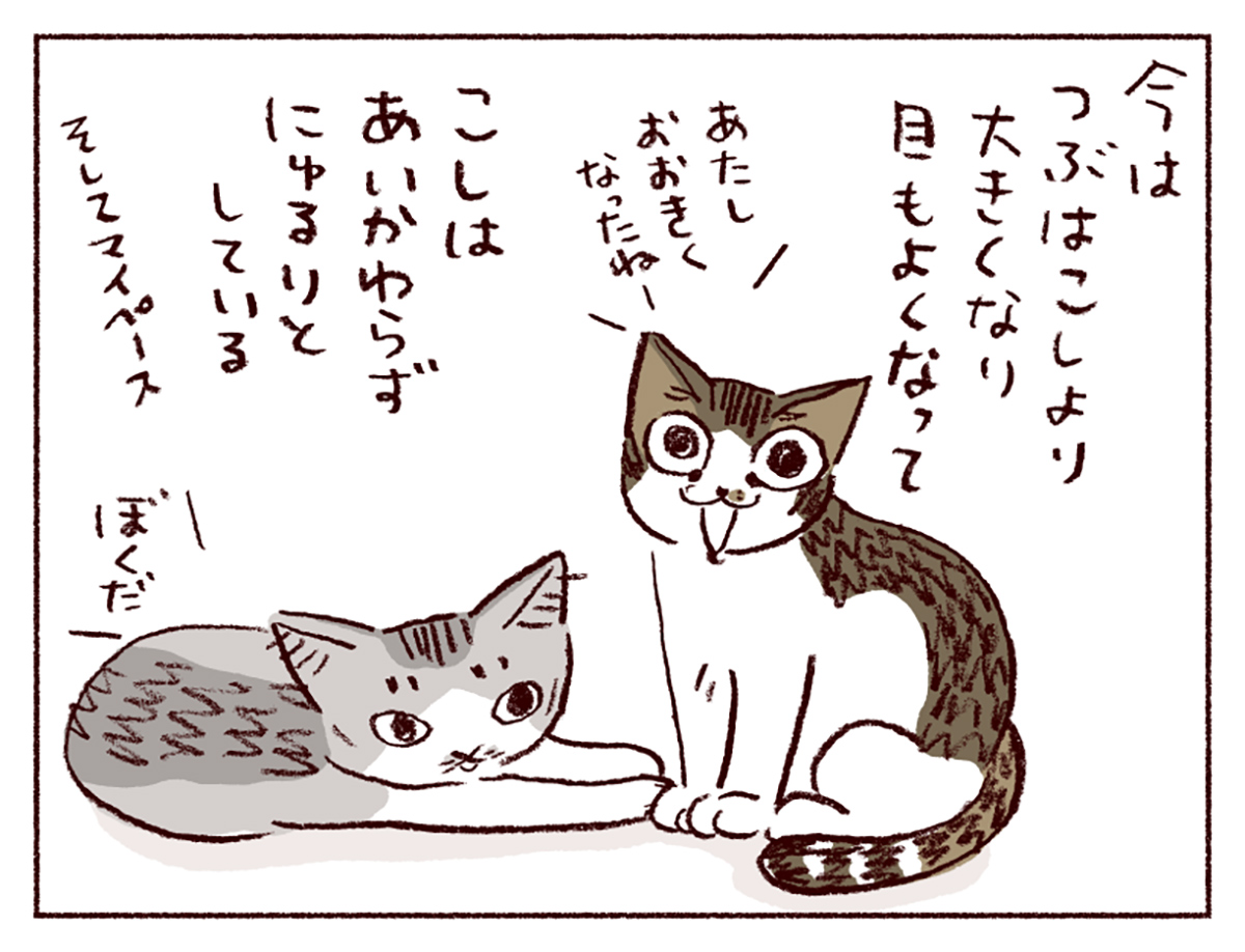 わたし うりひめよ スケラッコ 23話