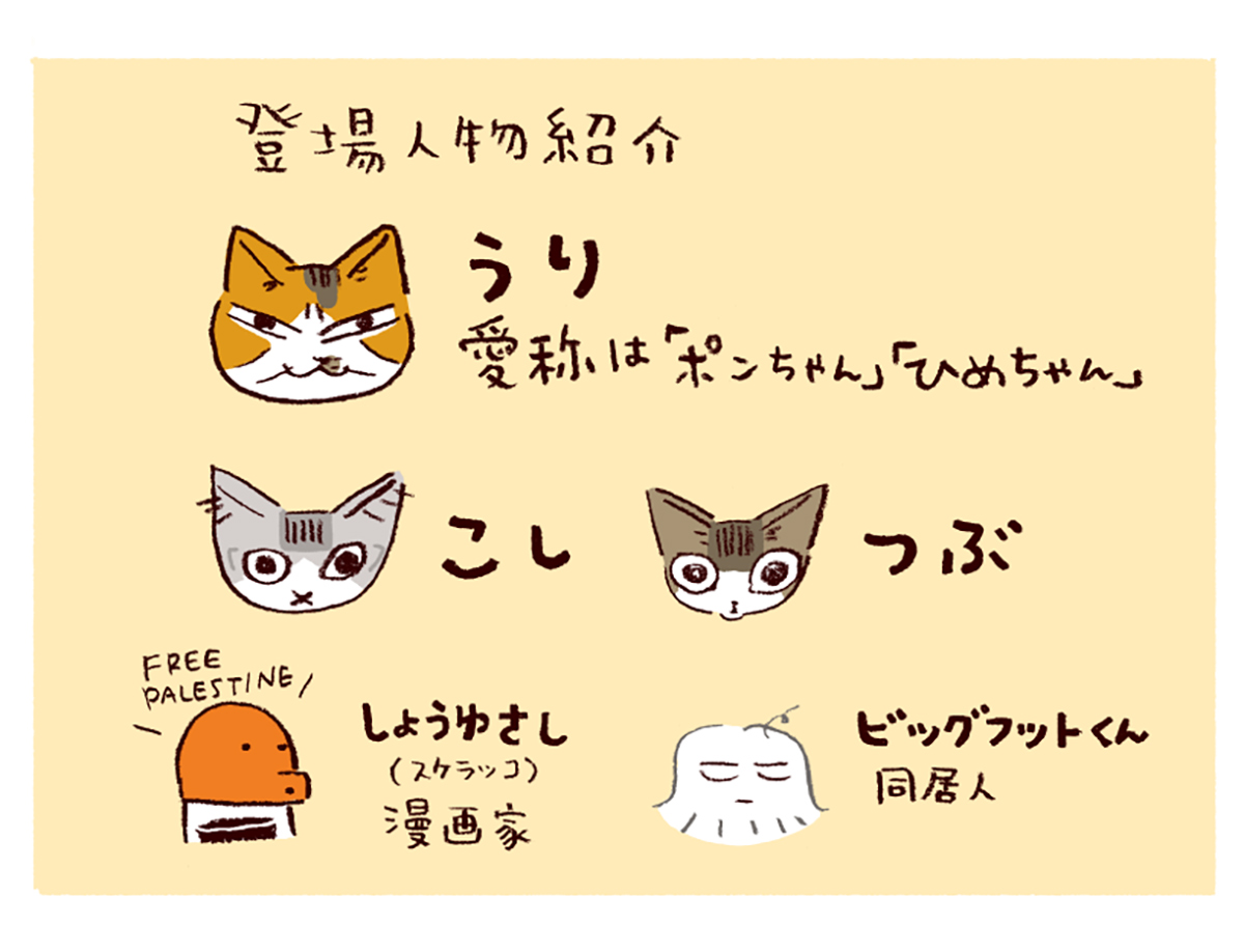 わたし うりひめよ スケラッコ 23話