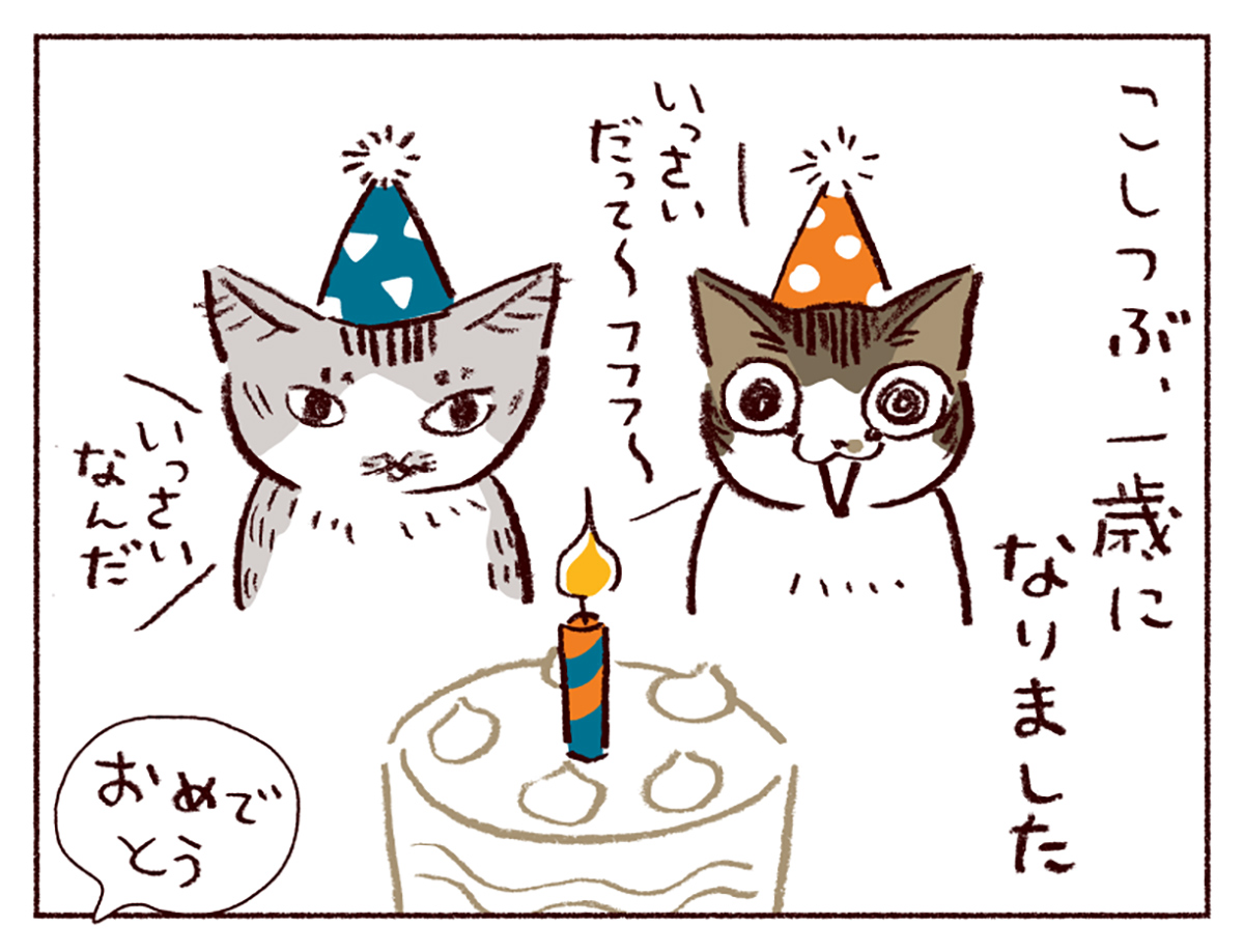 わたし うりひめよ スケラッコ 23話
