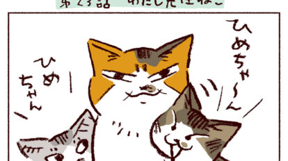 【猫マンガ】第２３話「わたし先住ねこ」｜スケラッコ「わたしうりひめよ」