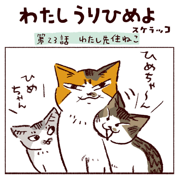 わたし うりひめよ スケラッコ 23話