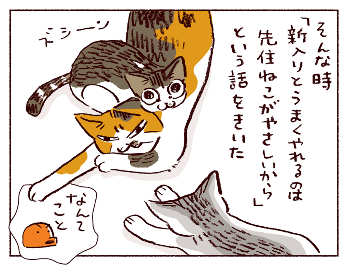 わたし うりひめよ スケラッコ 23話