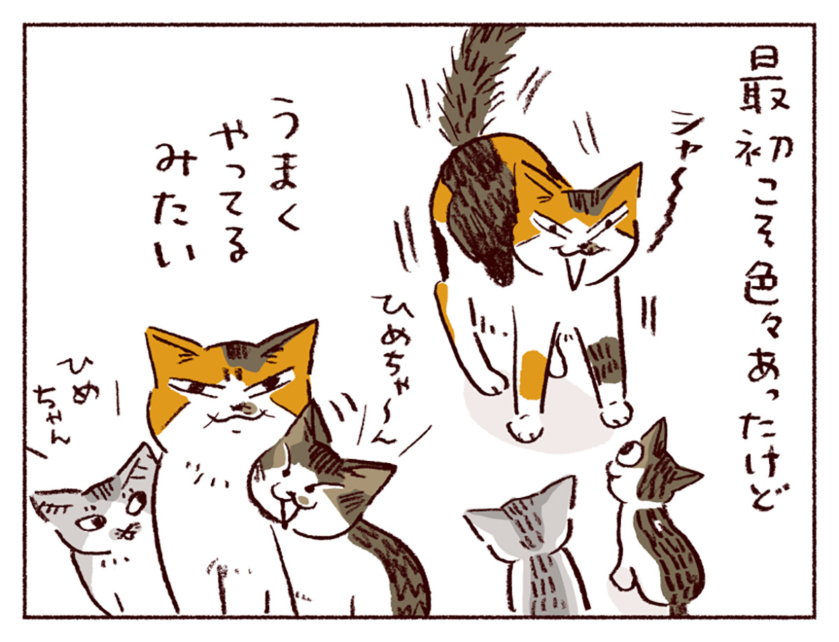わたし うりひめよ スケラッコ 23話