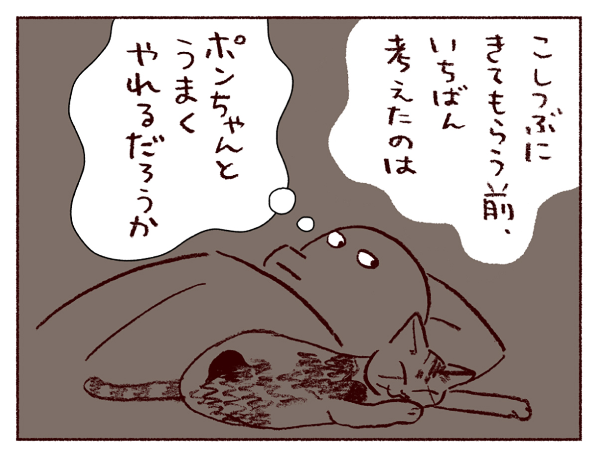 わたし うりひめよ スケラッコ 23話