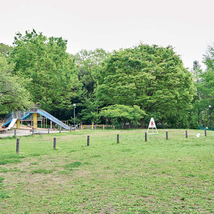 菅刈公園