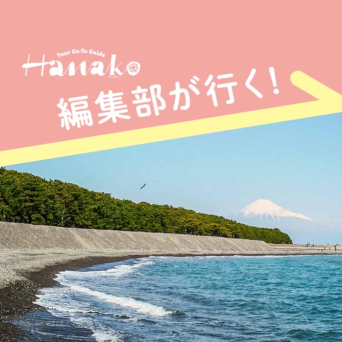 Hanako編集部が行く！