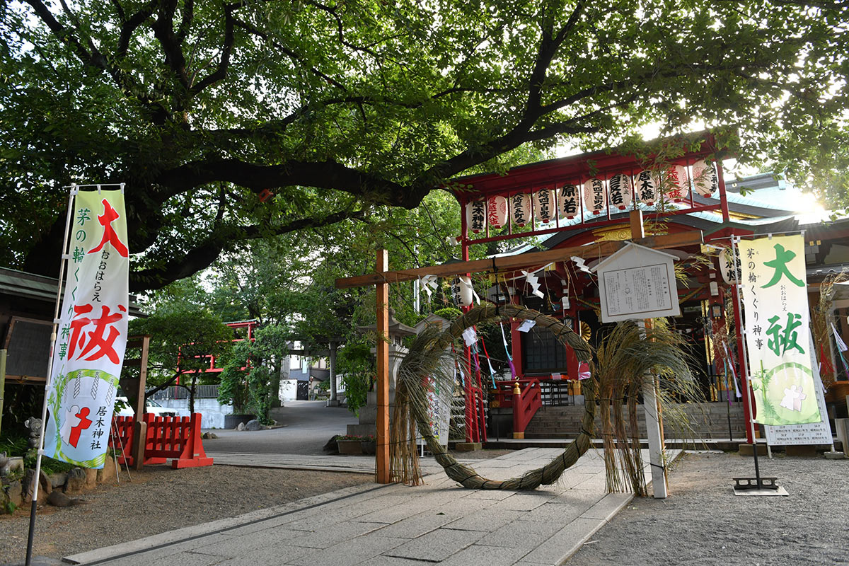 居木神社茅の輪